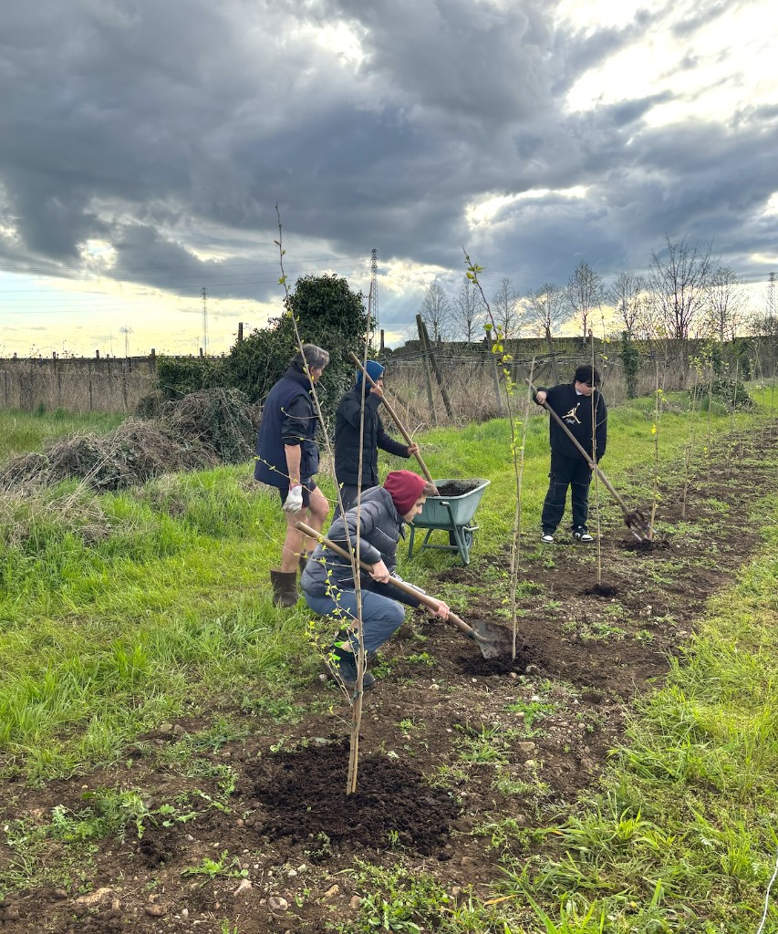 Un gruppo pianta giovani alberi in un campo, ognuno con la propria pala