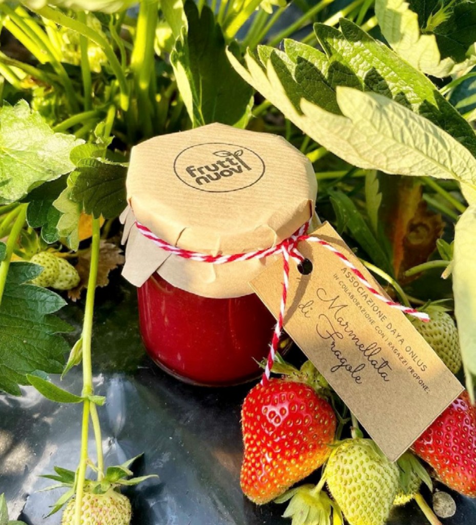 Vasetto di marmellata di fragole Frutti Nuovi tra le piante di fragola